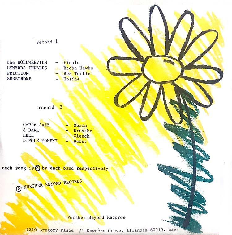 Picking More Daisies back cover